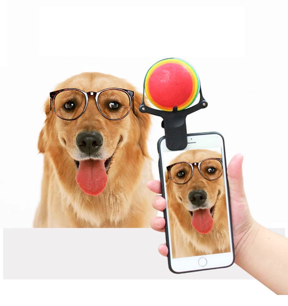 The Puparazzi Accessory